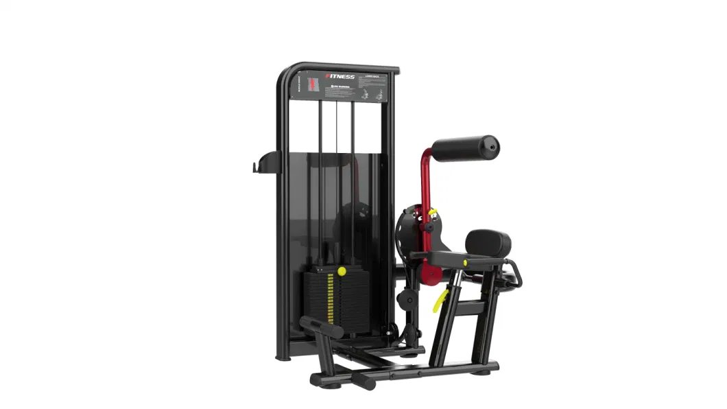 Lower Back Gym Equipment Sports Shandong Mbh Fitness