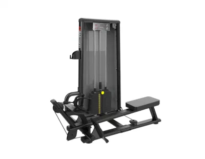 Máquina de ejercicio de equipo de gimnasio serie Sn de polea horizontal sentado